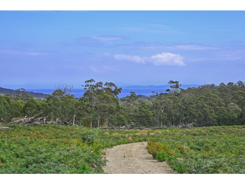 B/390 Hurdle Road, Saltwater River TAS 7186