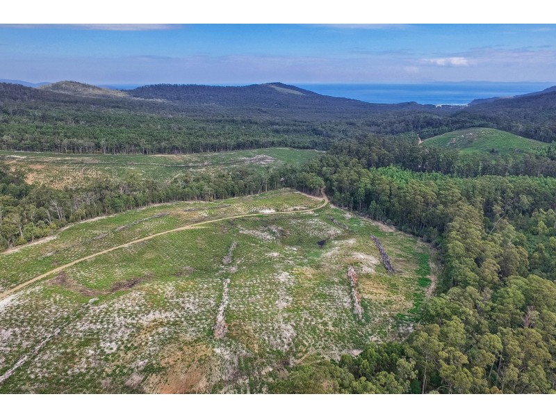 B/390 Hurdle Road, Saltwater River TAS 7186