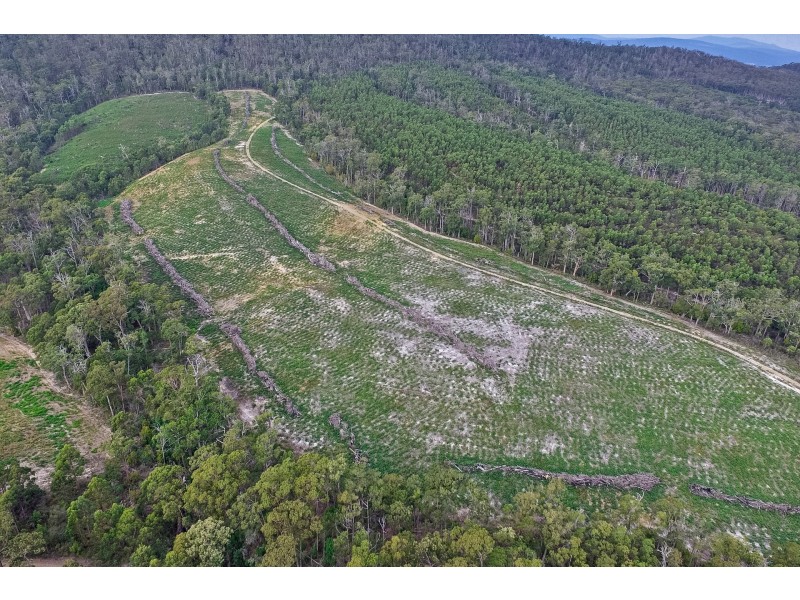 B/390 Hurdle Road, Saltwater River TAS 7186