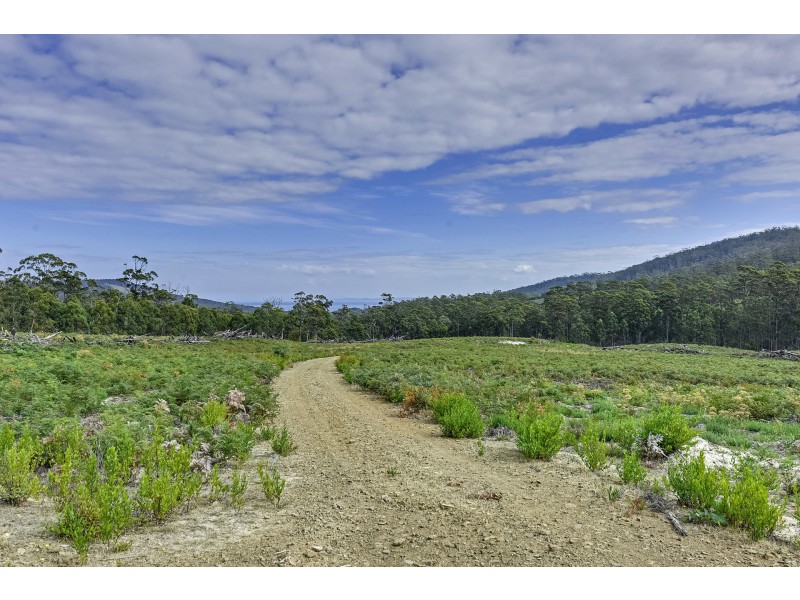 B/390 Hurdle Road, Saltwater River TAS 7186