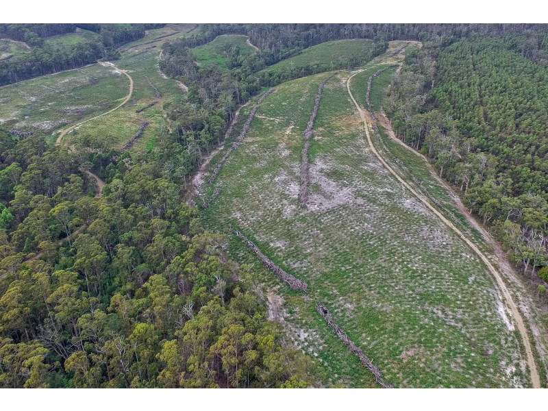 B/390 Hurdle Road, Saltwater River TAS 7186