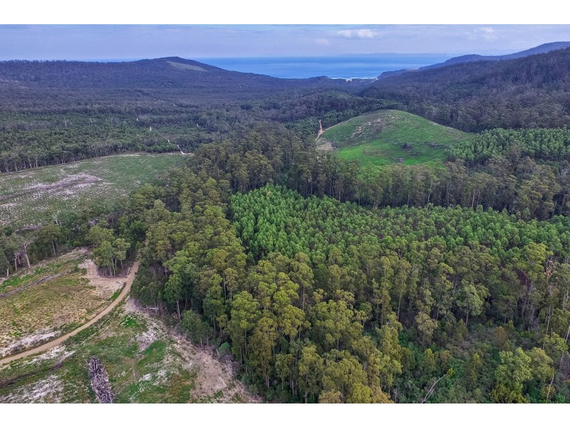 B/390 Hurdle Road, Saltwater River TAS 7186