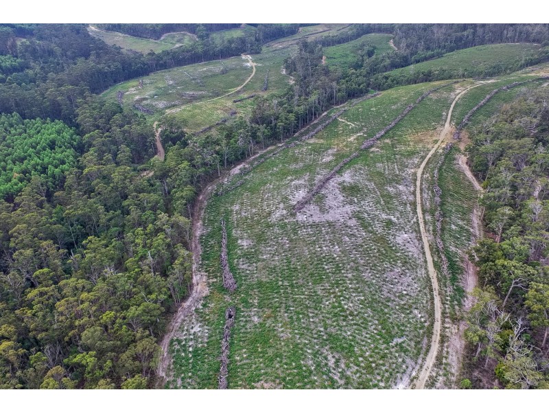 B/390 Hurdle Road, Saltwater River TAS 7186