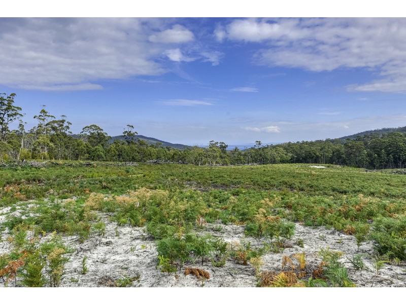 B/390 Hurdle Road, Saltwater River TAS 7186
