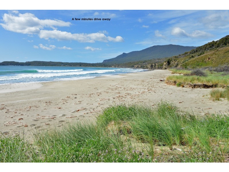 160 Old Jetty Road, Eaglehawk Neck TAS 7179