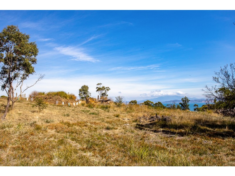 Lot 2 Fynbos Place, Primrose Sands TAS 7173