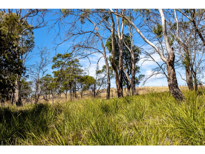 Lot 2 Fynbos Place, Primrose Sands TAS 7173