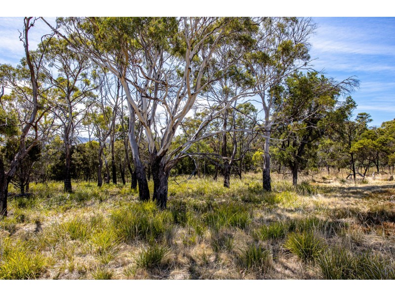 Lot 3 Fynbos Place, Primrose Sands TAS 7173
