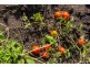 21 Nubeena Back Road, Nubeena TAS 7184