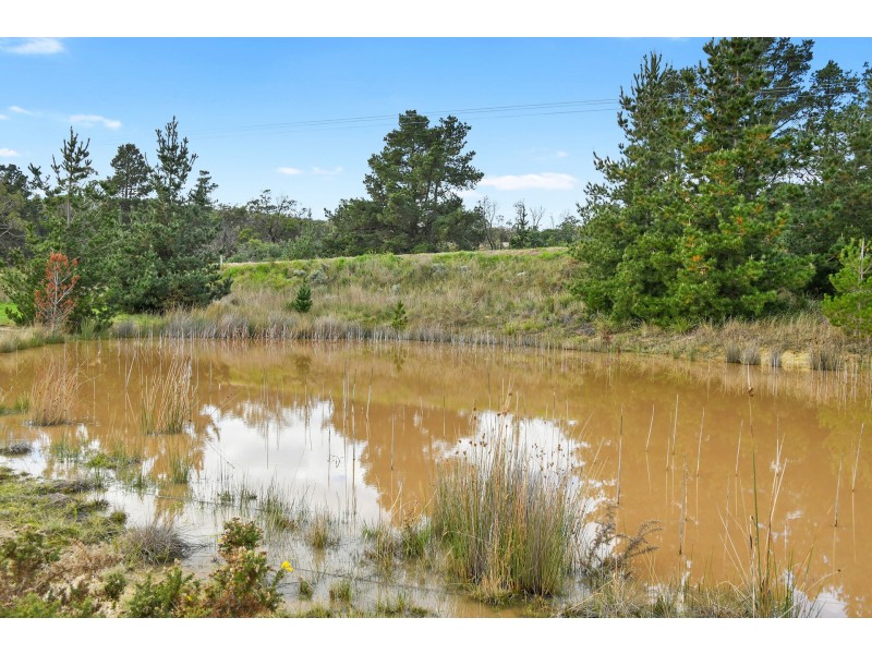 4 Edith Close, Forcett TAS 7173