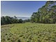 Lot C Jones Road, Premaydena TAS 7185