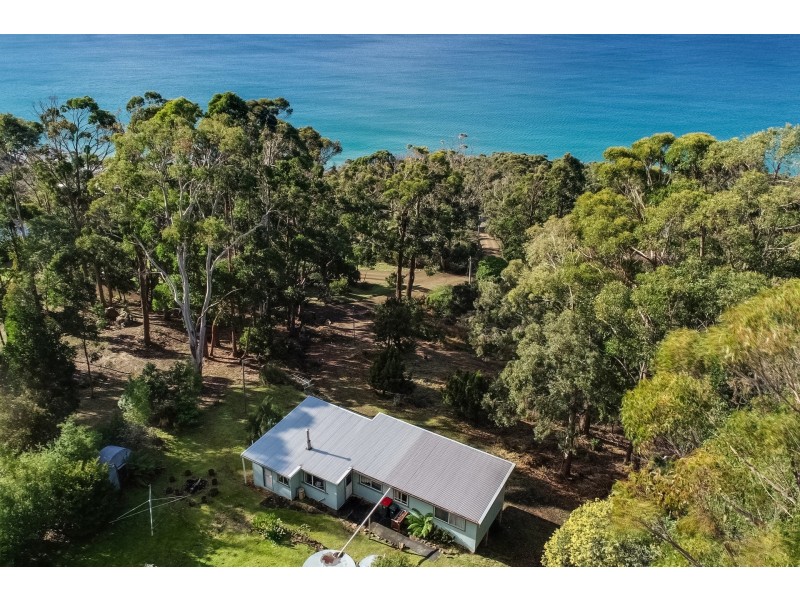 126 Blowhole Road, Eaglehawk Neck TAS 7179