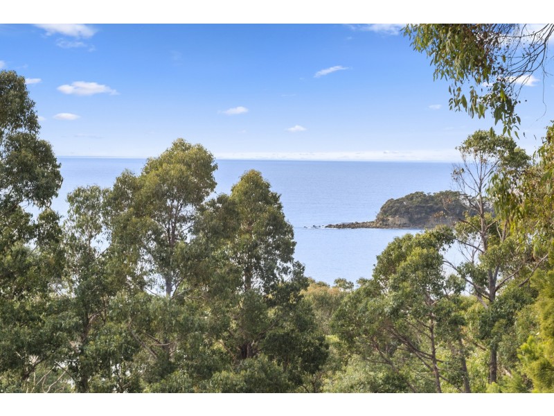 126 Blowhole Road, Eaglehawk Neck TAS 7179