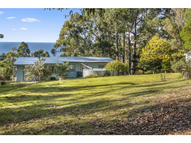 126 Blowhole Road, Eaglehawk Neck TAS 7179