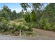 164 & 166 Old Jetty Road, Eaglehawk Neck TAS 7179