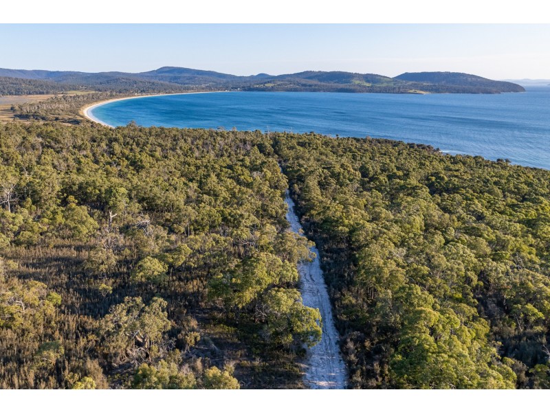 Sloping Main TAS 7186