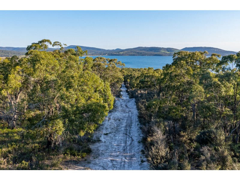 Sloping Main TAS 7186