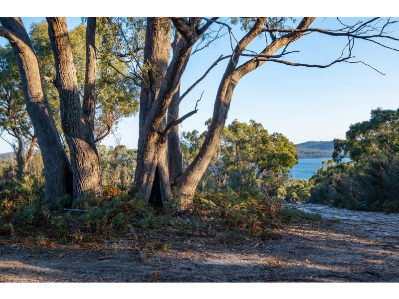 Sloping Main TAS 7186