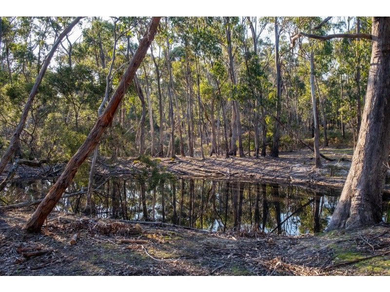 Sloping Main TAS 7186