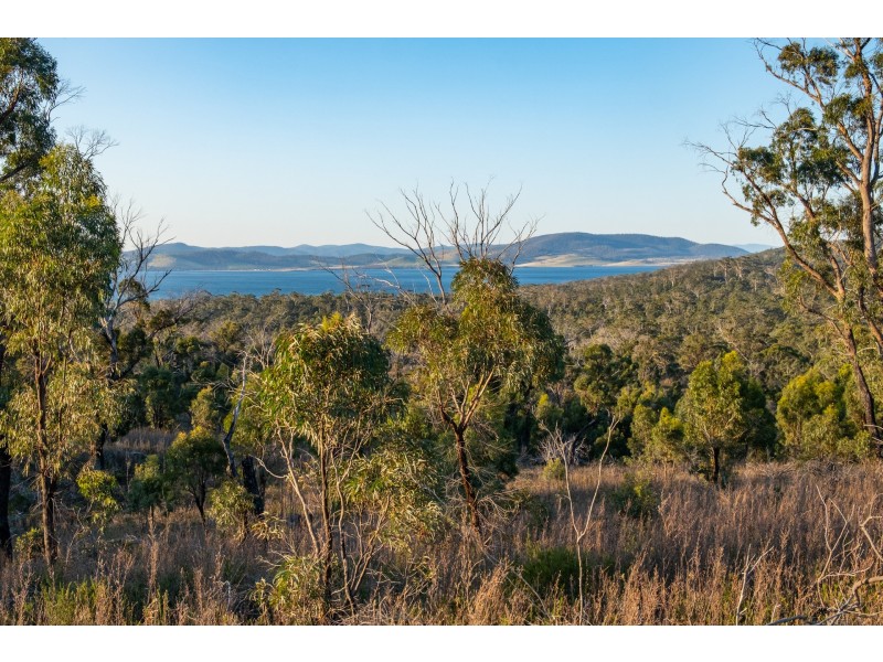 Sloping Main TAS 7186