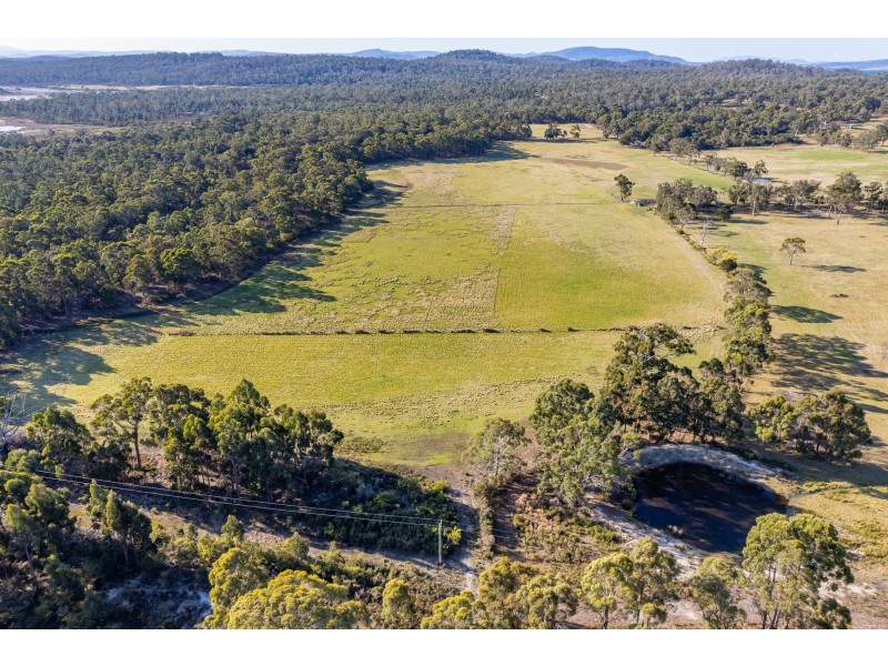 Sloping Main TAS 7186