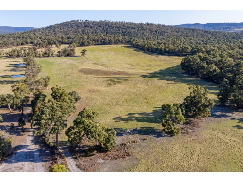 Sloping Main TAS 7186