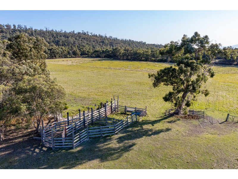 Sloping Main TAS 7186