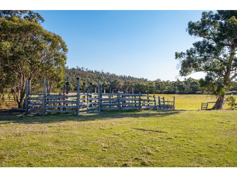 Sloping Main TAS 7186