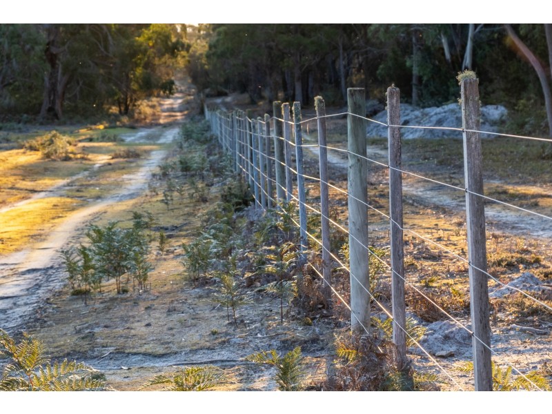 Sloping Main TAS 7186