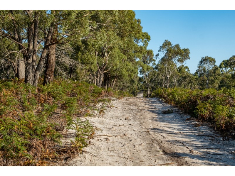 Sloping Main TAS 7186