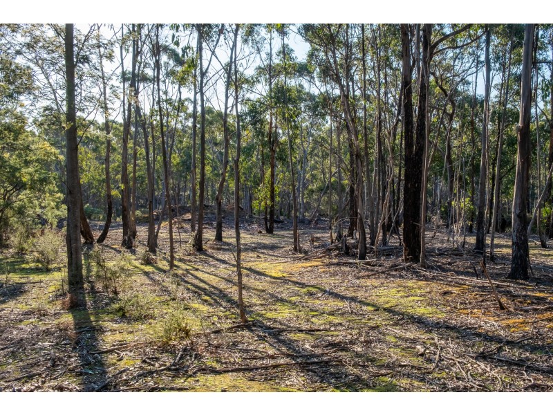 Sloping Main TAS 7186