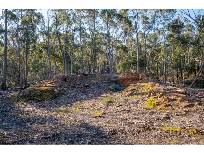 Sloping Main TAS 7186