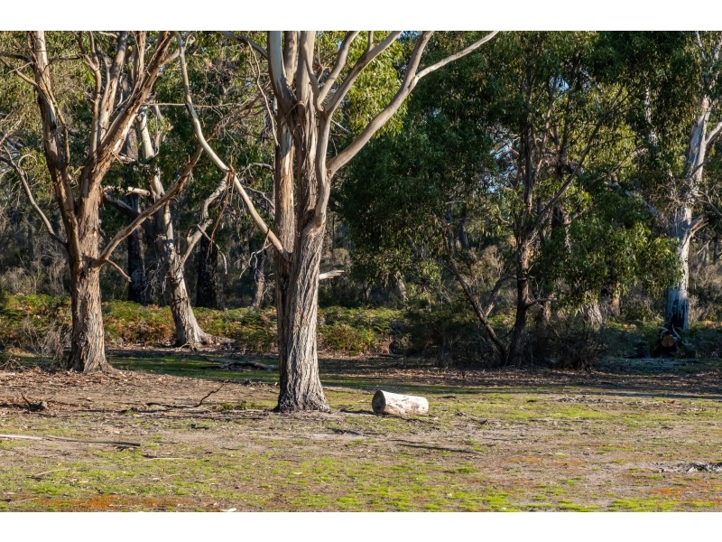 Sloping Main TAS 7186