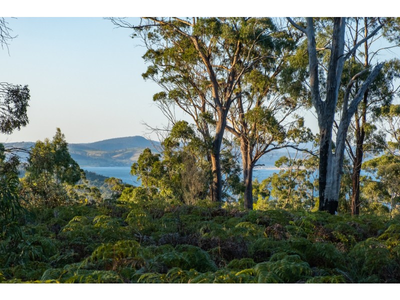 Sloping Main TAS 7186