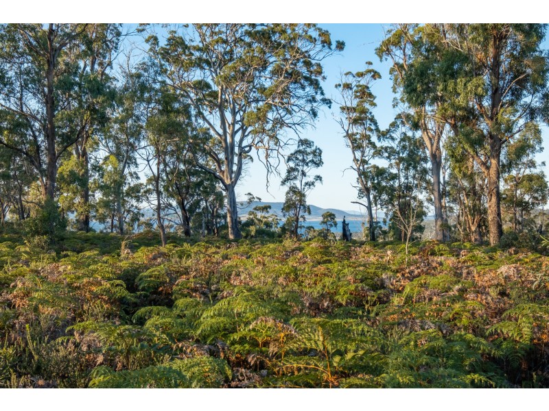 Sloping Main TAS 7186