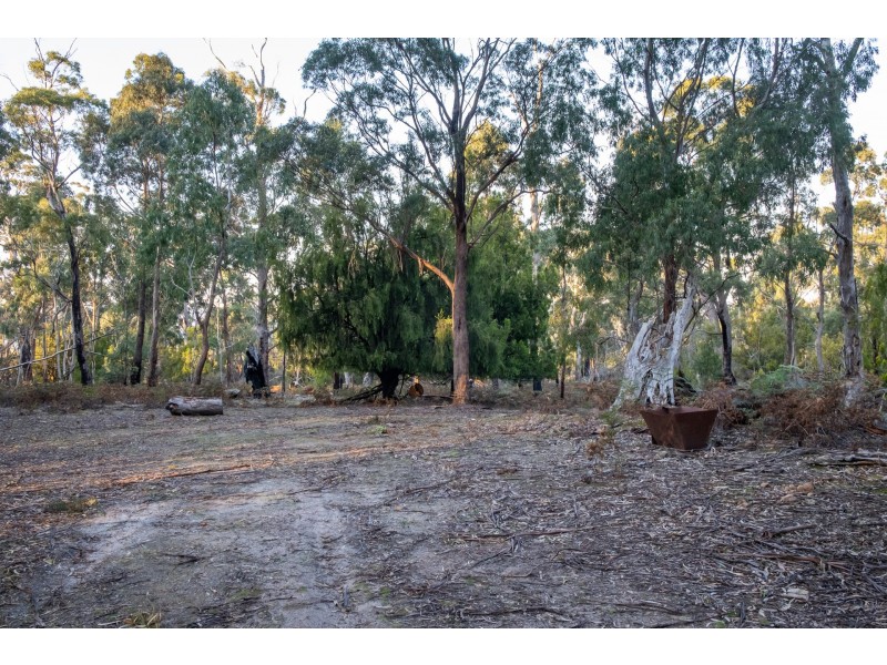 Sloping Main TAS 7186