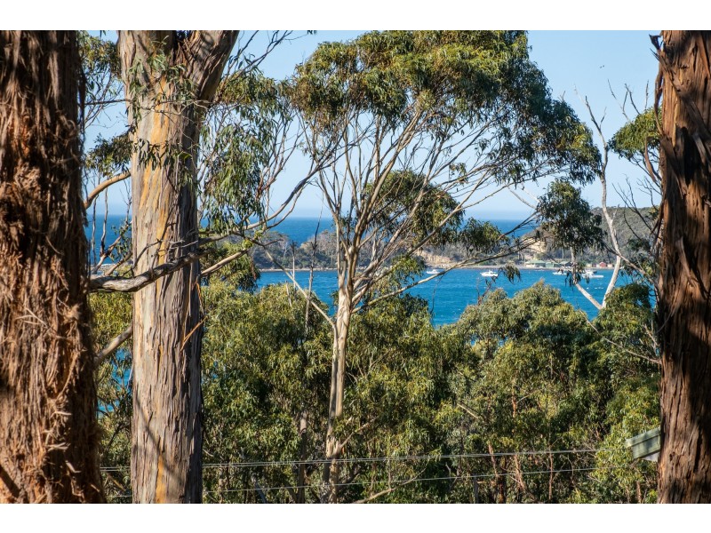 142 Blowhole Road, Eaglehawk Neck TAS 7179
