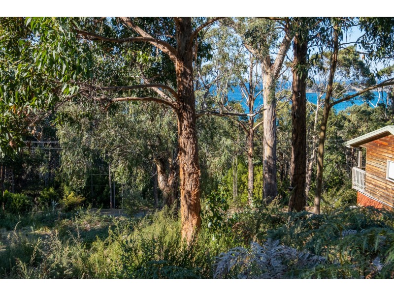 142 Blowhole Road, Eaglehawk Neck TAS 7179