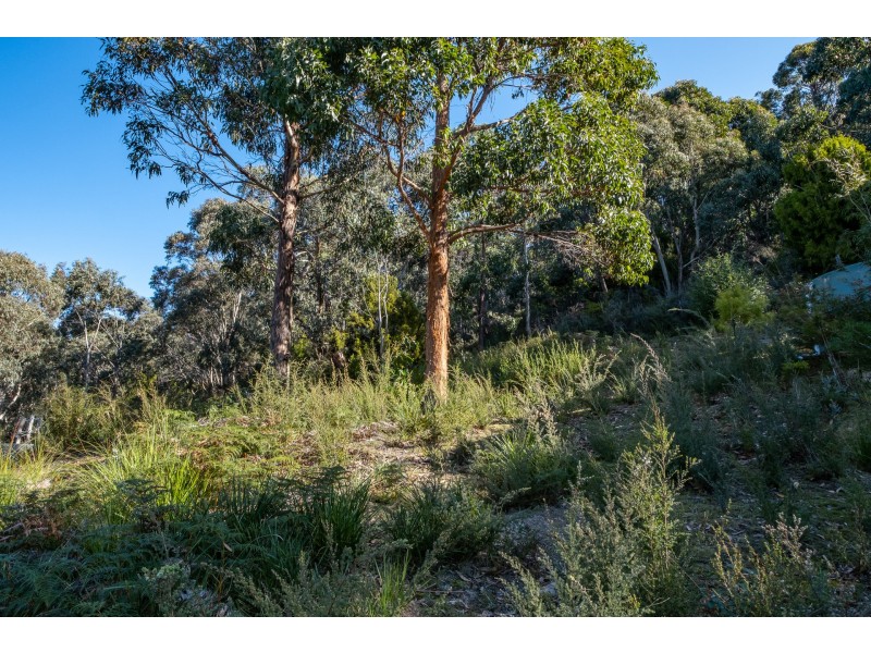 142 Blowhole Road, Eaglehawk Neck TAS 7179