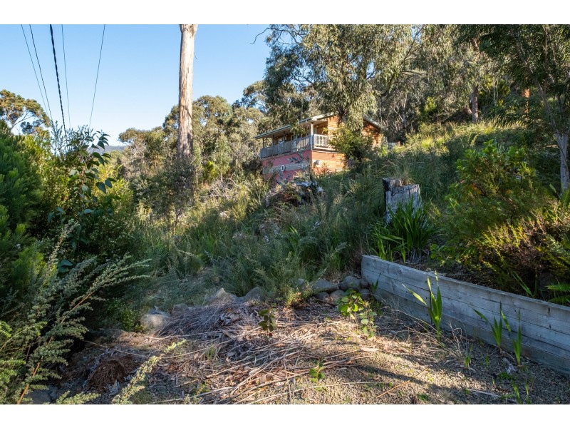 142 Blowhole Road, Eaglehawk Neck TAS 7179