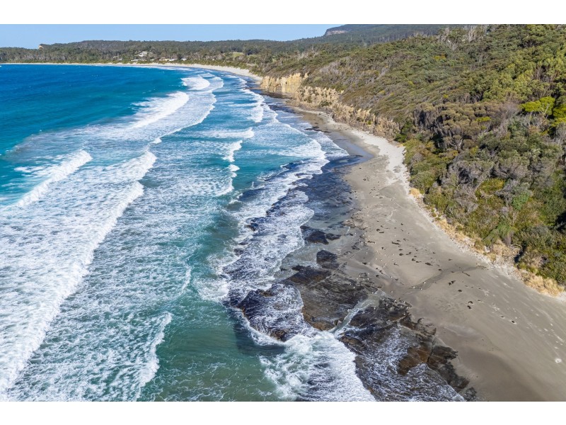 142 Blowhole Road, Eaglehawk Neck TAS 7179