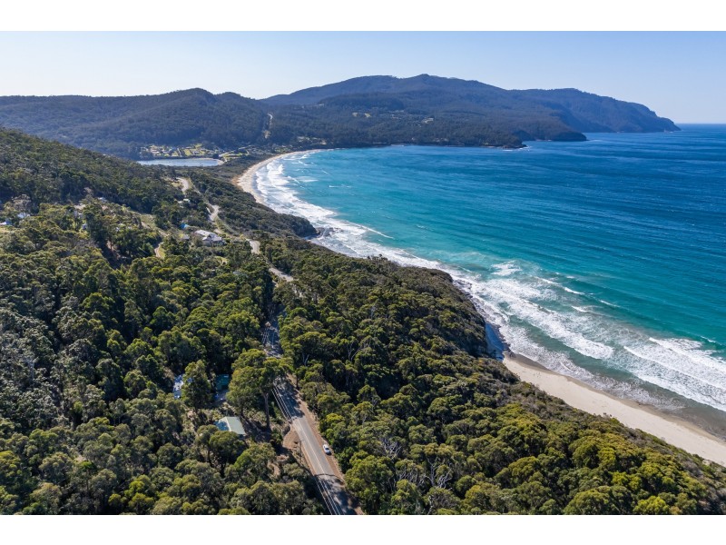 142 Blowhole Road, Eaglehawk Neck TAS 7179
