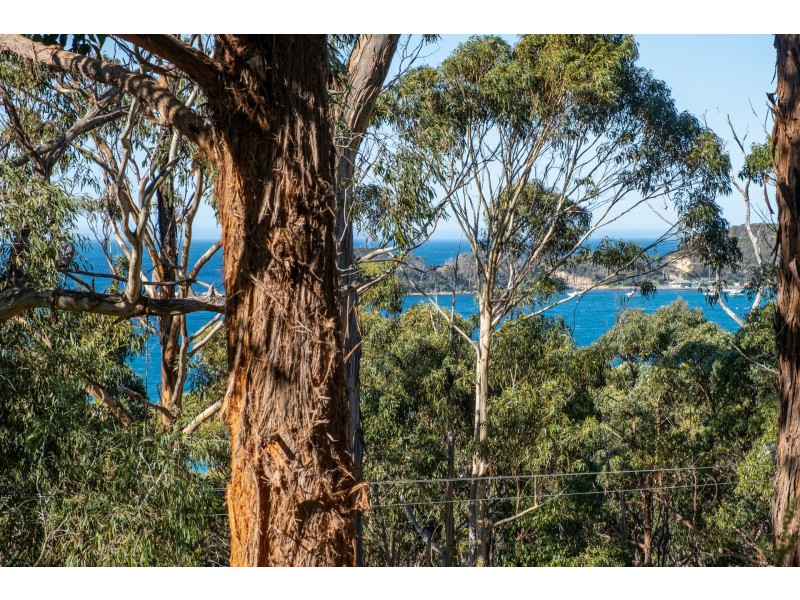 142 Blowhole Road, Eaglehawk Neck TAS 7179