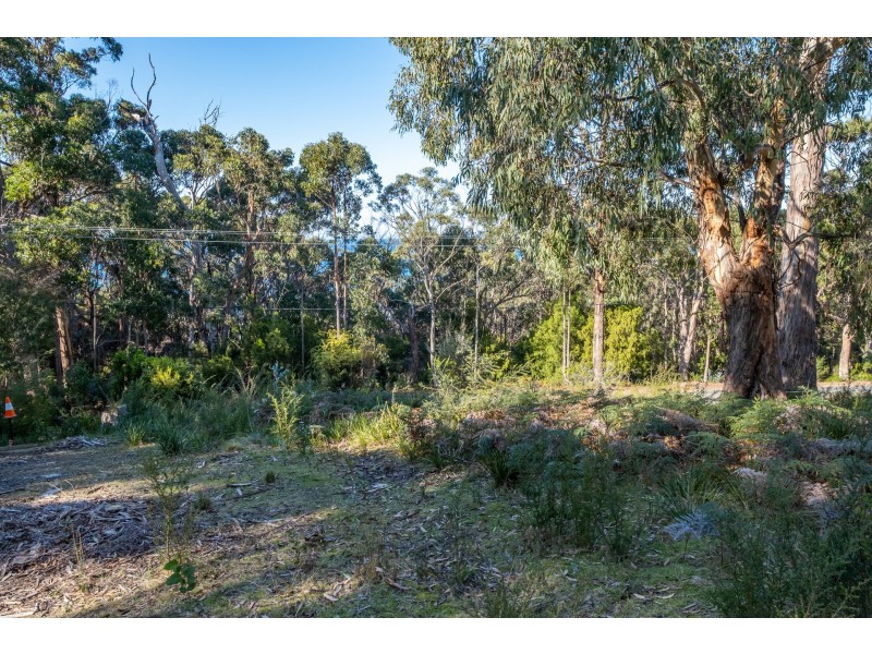 142 Blowhole Road, Eaglehawk Neck TAS 7179