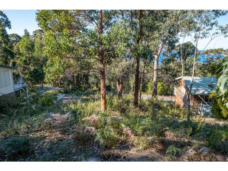 142 Blowhole Road, Eaglehawk Neck TAS 7179