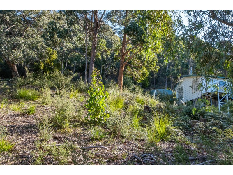 142 Blowhole Road, Eaglehawk Neck TAS 7179