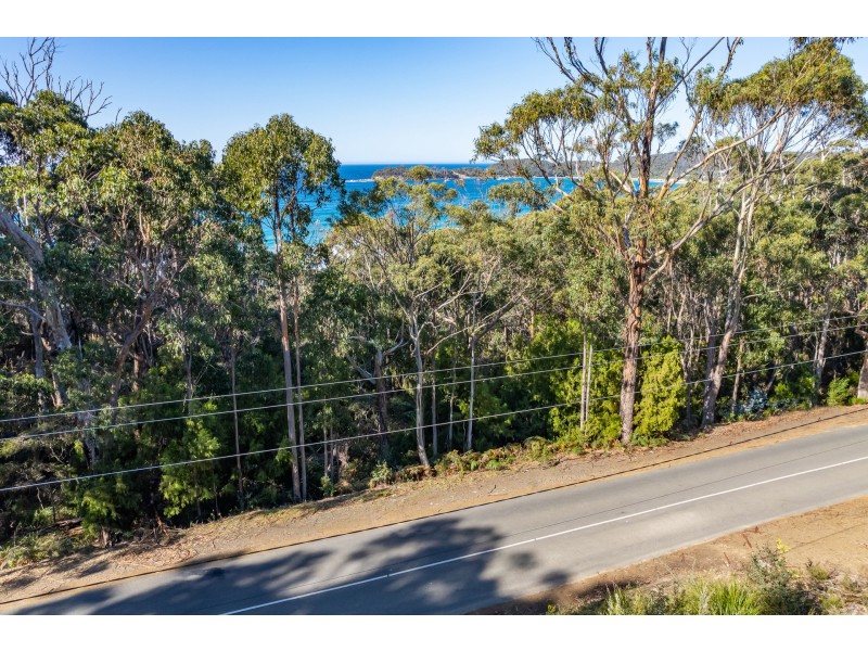 142 Blowhole Road, Eaglehawk Neck TAS 7179