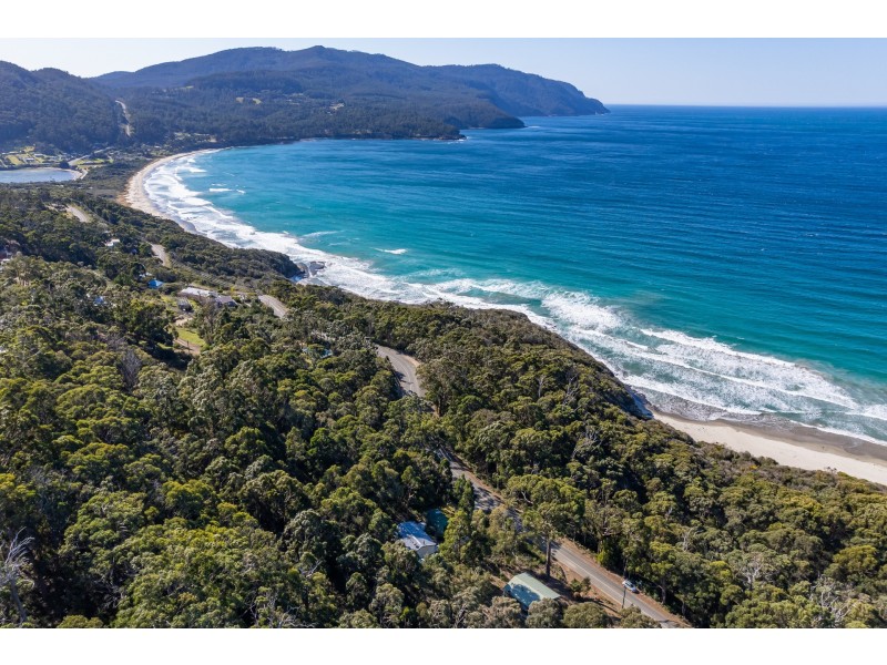 142 Blowhole Road, Eaglehawk Neck TAS 7179