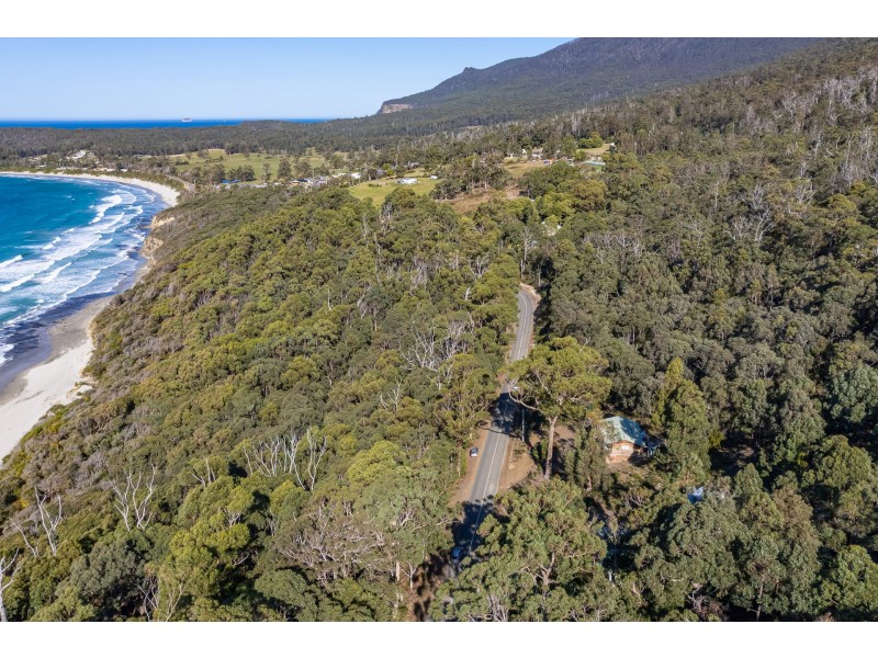 142 Blowhole Road, Eaglehawk Neck TAS 7179