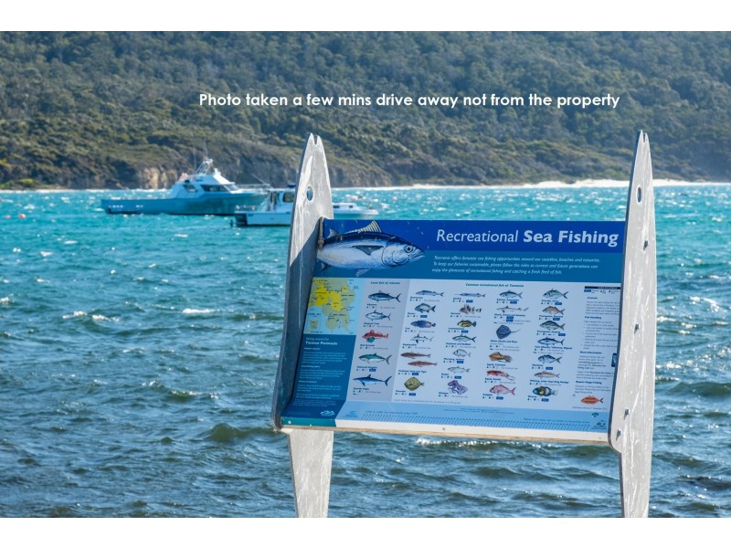 142 Blowhole Road, Eaglehawk Neck TAS 7179